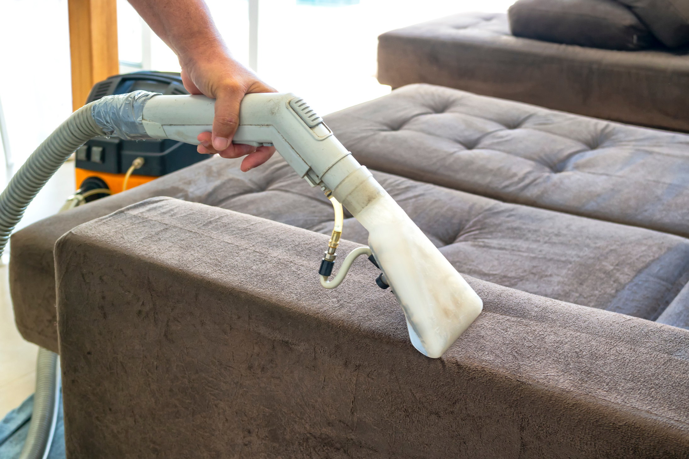 Cleaning the sofa.
